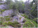 Erjavčev rovt - Planina Dovška Rožca